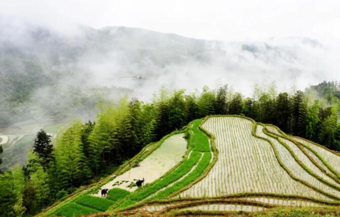 青島網站建設公司今日芒種：願你，所種皆有所得